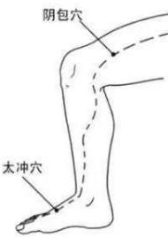 阴包穴的准确位置图、太冲穴的准确位置图