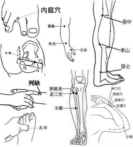 天星十二穴取穴图 天星十二穴取穴图