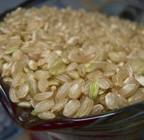 糙米的9大功效 那些人不适合吃糙米 吃糙米的3个禁忌